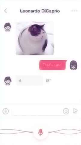 在线支付即收的电话轰在线轰炸免费下载